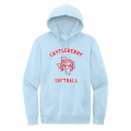 Unisex Light Blue Softball Hoodie